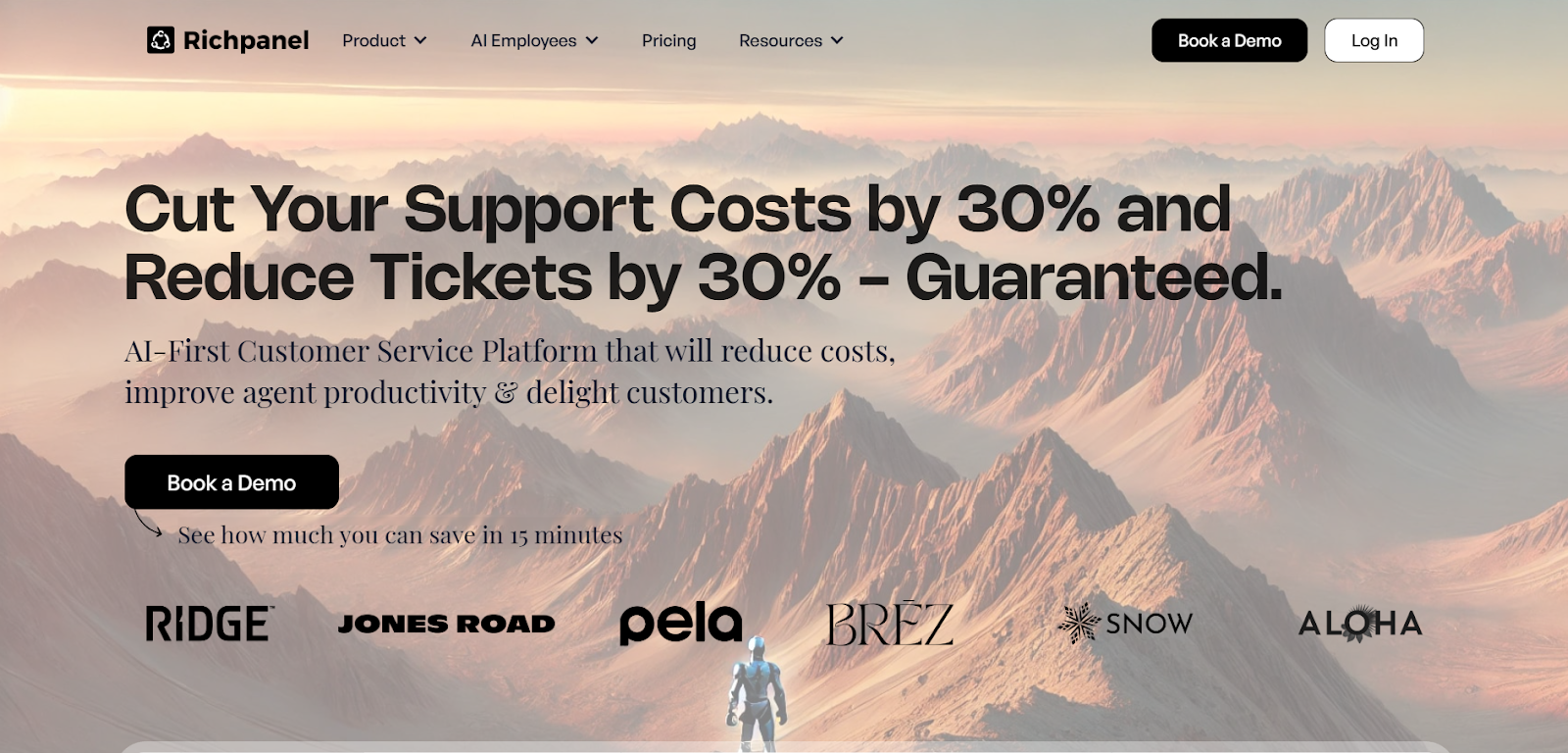 Richpanel homepage